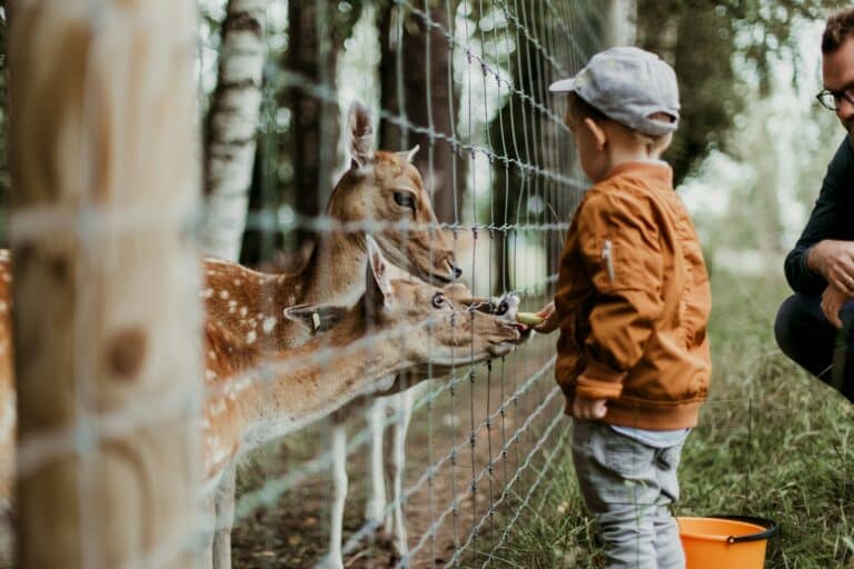 parc-animalier